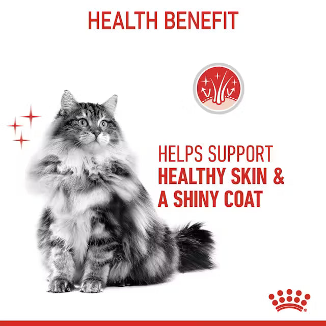 Royal Canin Hair & Skin Care Gravy